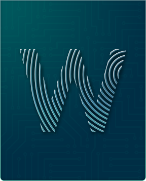 UBNT WFUBAF-5G-OMT-S45 UBNT 5 GHz airFiber OMT RD Conversion Kit, Slant 45 ürün görseli 1 - wifidepo